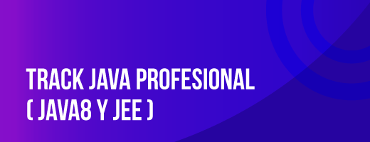 Track Java Professional 70hrs (JAVA 8 y Jee) 70HRS: